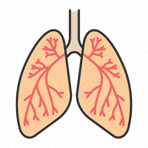 Breathe, bronchi, bronchiole, bronchus, lung, lungs, respiratory system icon - Download on Iconfinder