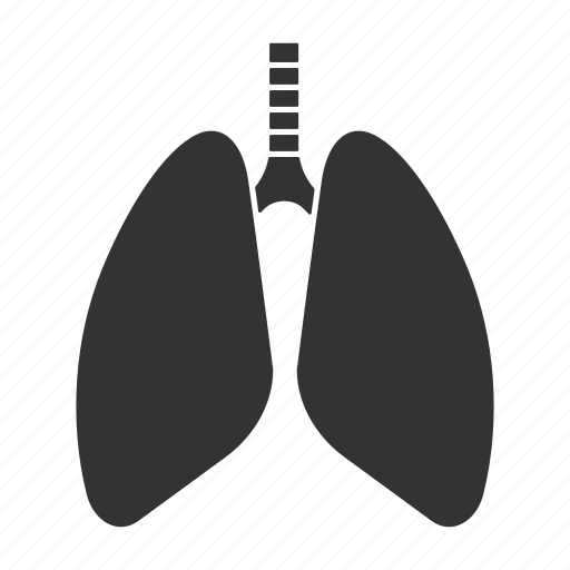 Breath, lung, lungs, organ, pulmonary, respiratory system, trachea icon - Download on Iconfinder