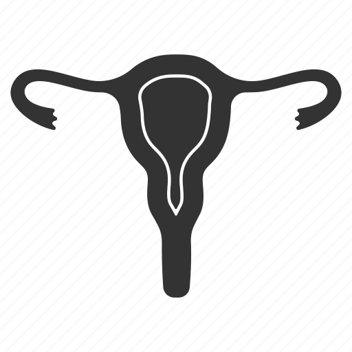 Anatomy, fallopian tubes, female, reproductive system, uterus, vagina, womb icon - Download on Iconfinder