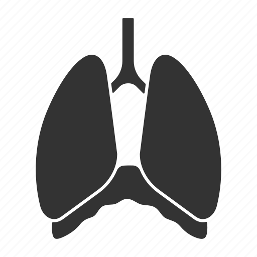Breathe, chest, diaphragm, lungs, respiratory system, thoracic, thoracic cavity icon - Download on Iconfinder