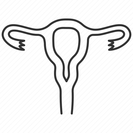 Anatomy, fallopian tubes, female, reproductive system, uterus, vagina, womb icon - Download on Iconfinder
