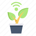 internet of things, iot, internet, wireless, garden, plant, agriculture