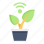 internet of things, iot, internet, wireless, garden, plant, agriculture 