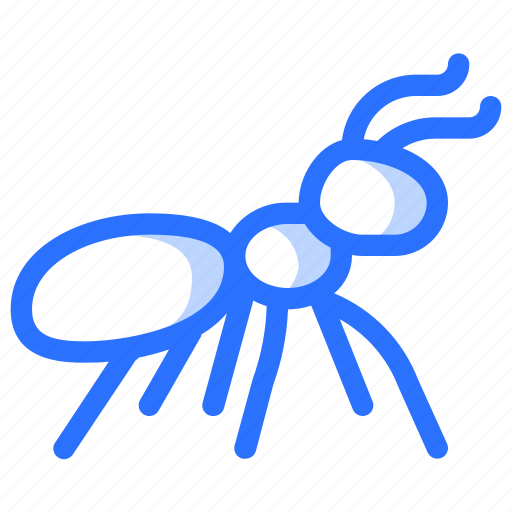 Ant, islam, islamic, animal, muslim, insect, bug icon - Download on Iconfinder