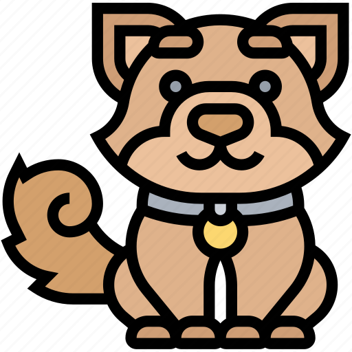 Shiba, dog, breed, pet, animal icon - Download on Iconfinder