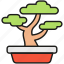 bonsai, pot, plant, tree, decoration, green, spruce, japan, small 