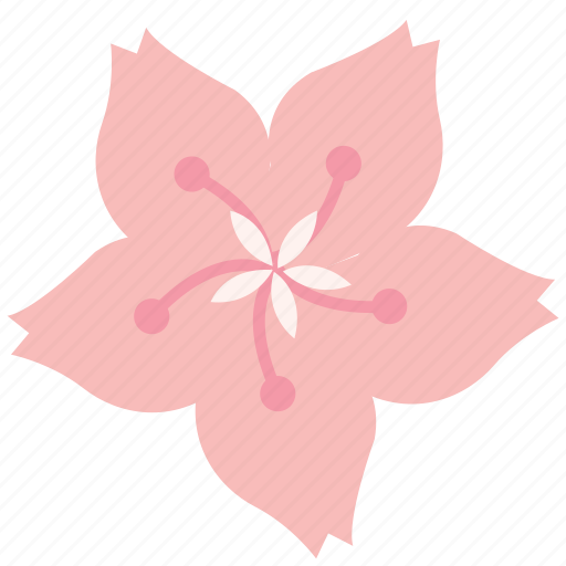 Cherryblossom, flower, japan, pink, plant, spring icon - Download on Iconfinder