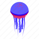 medusa, jellyfish, isometric