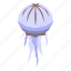 natural, jellyfish, isometric 