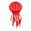 cute, jellyfish, isometric