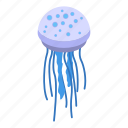 life, jellyfish, isometric