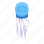 ocean, jellyfish, isometric 