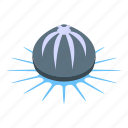 marine, jellyfish, isometric