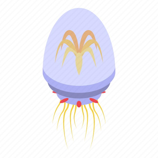 Nature, jellyfish, isometric icon - Download on Iconfinder