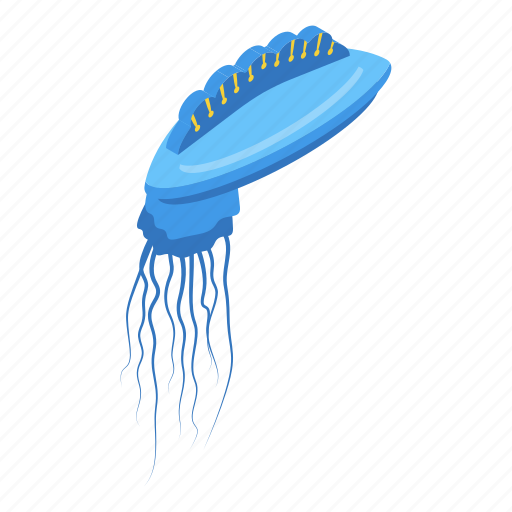 Animal, jellyfish, isometric icon - Download on Iconfinder