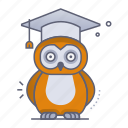 owl, graduation, hat, graduate, mortarboard, school, education, learning, study
