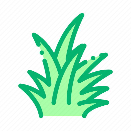 Animal, bush, flower, linear, tropical, waterfall, wood icon - Download on Iconfinder