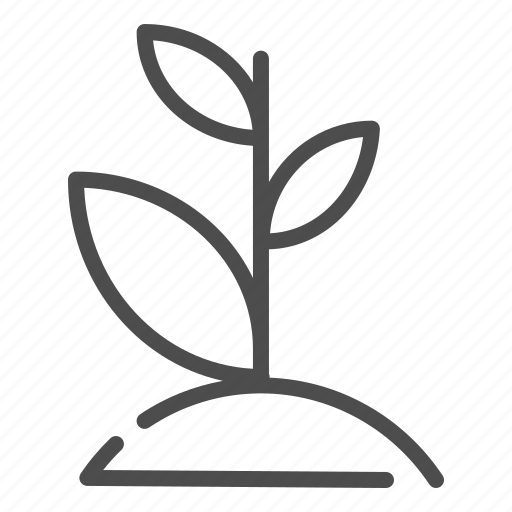 Sprout, plant, leaf, nature, floral icon - Download on Iconfinder