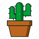 kaktus, flat, cactus, nature, tree, plant, garden, desertplants, cactusicon, line, icon