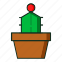 kaktus, flat, cactus, iconcactus, cactusicon, pot, kitchen, plant, line, icon