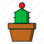 kaktus, flat, cactus, iconcactus, cactusicon, pot, kitchen, plant, line, icon 