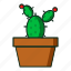 kaktus, glyph, cactusicon, iconplants, falt, line, icon 