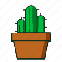 kaktus, cactusicon, cactus, plantsicon, cactusplants, plant, nature, garden, flat, line, icon