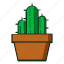 kaktus, cactusicon, cactus, plantsicon, cactusplants, plant, nature, garden, flat, line, icon 