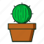 kaktus, flat, cactus, plant, tree, decoration, cactusicon, line, icon 