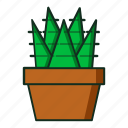 kaktus, plant, pot, cactusicon, iconcactus, garden, kitchen, gardening, flower, flat, line, icon