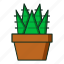 kaktus, plant, pot, cactusicon, iconcactus, garden, kitchen, gardening, flower, flat, line, icon 