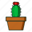 kaktus, flat, line, cactusicon, cactus, icon, graph, growth 