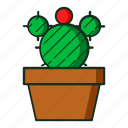 kaktus, flat, line, cactus, cactusicon, cactuaicon, creative, design