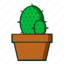 plants, kaktus, cactus, plant, cactusicon, iconcactus, tree, garden, gardening, flower, nature, flat, line, icon