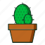 plants, kaktus, cactus, plant, cactusicon, iconcactus, tree, garden, gardening, flower, nature, flat, line, icon 