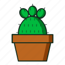 kaktus, flat, cactus, pot, plant, kitchen, line, icon
