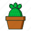 kaktus, flat, cactus, pot, plant, kitchen, line, icon 