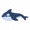 sea, killer, whale