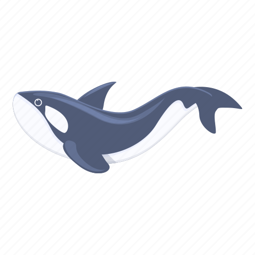 Killer, whale, orca icon - Download on Iconfinder