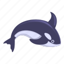 killer, whale, animal, sea