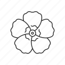 korea, flower, culture symbol, hibiscus