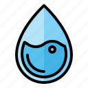 droplet, laboratory, liquid, research, science, water