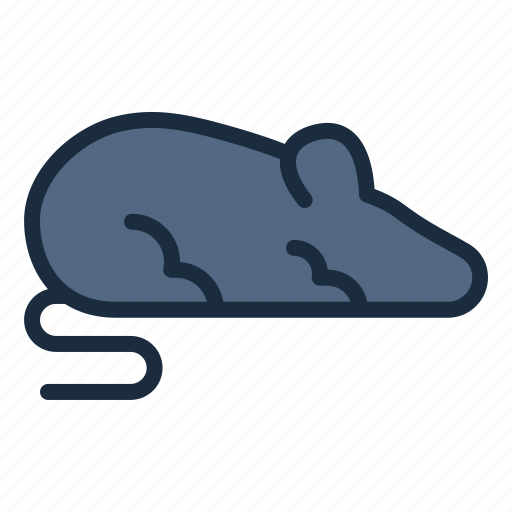 Rat, experiment, technology, science, laboratory icon - Download on Iconfinder