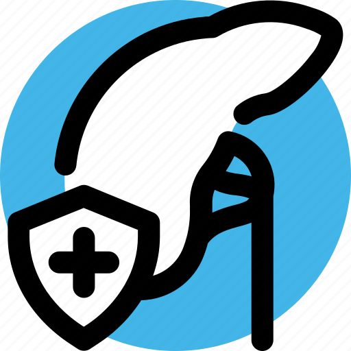 Care, health, hospital, insurance, liver, protection icon - Download on Iconfinder