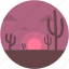 cactus, desert, nature, sunset, sunshine 