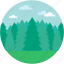 douglas fir, fir forest, fir tree, greenery, spruce forest 