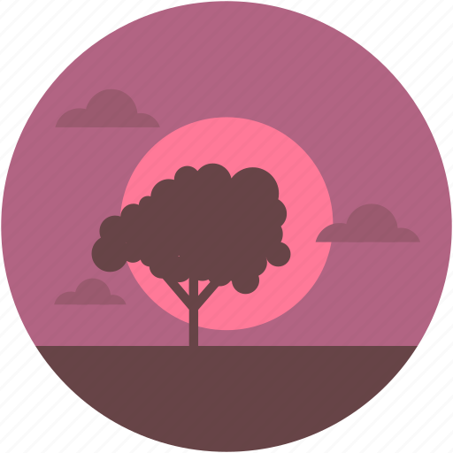 Dawn, evening view, nature, sunset landscape, tree icon - Download on Iconfinder