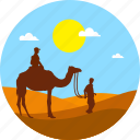 camel, camp, desert, egypt pyramid, summer, sunset, travel