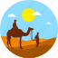 camel, camp, desert, egypt pyramid, summer, sunset, travel 