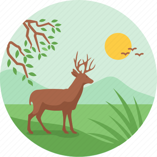 Africa, animal, deer, jungle, wild icon - Download on Iconfinder